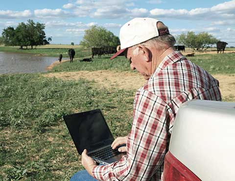 Farmer in field sitting on the gate of his truck checking his laptop.
